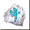 .   : +5 ()